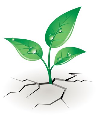 Growth sprout clipart