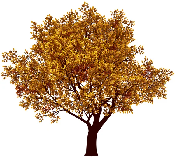 Árbol de caída — Vector de stock