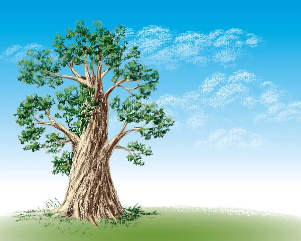 Старе дерево — стоковий вектор