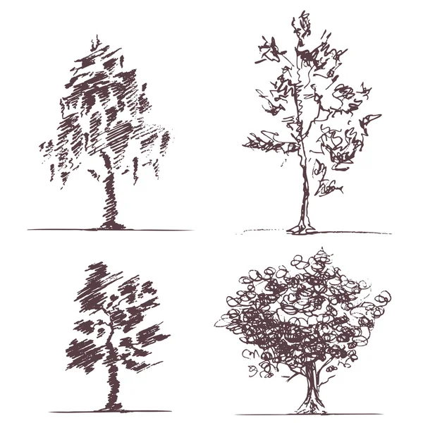 Dört skeçler ağaçlar set — Stok Vektör