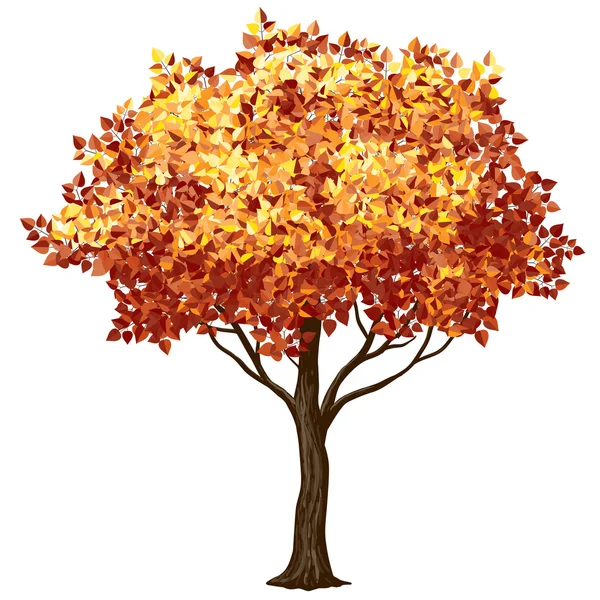 Fall tree — Stock Vector