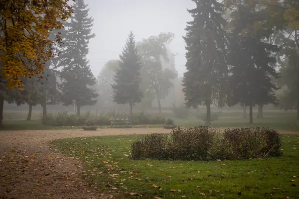 Туманное Осеннее Утро Парке Города Залаэгерсег Венгрия — стоковое фото