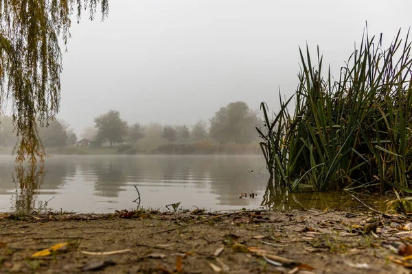 Niebla Mañana Otoño Lago Gebart Ciudad Zalaegerszeg Hungría Imagen de archivo