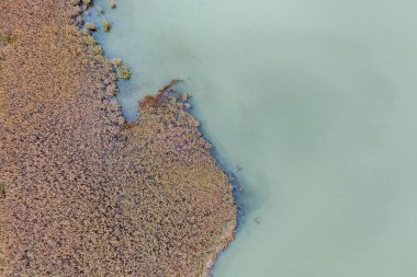 Macaristan, Balaton Gölü 'ndeki bir sazlığın insansız hava aracı fotoğrafı