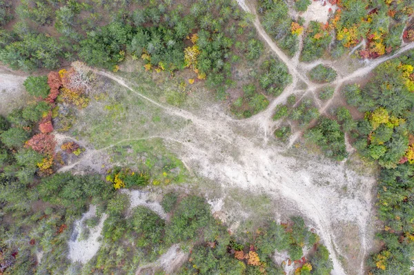 Drónkilátás Egy Fenyőerdőre Ősszel Vonyarcvashegyen — Stock Fotó