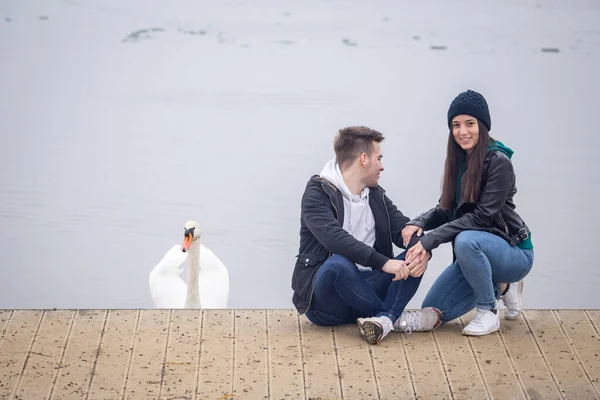 Young Couple Spending Time Together Swan Joined Foggy Winter Day — Stock Photo, Image