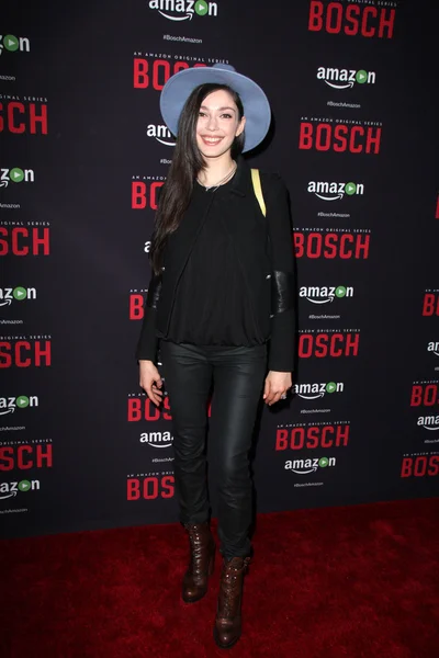 Emilia zoryan na "Bosch" — Stock fotografie