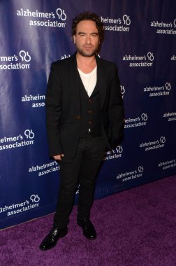 Johnny Galecki - aktör