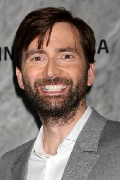 David Tennant — Zdjęcie stockowe