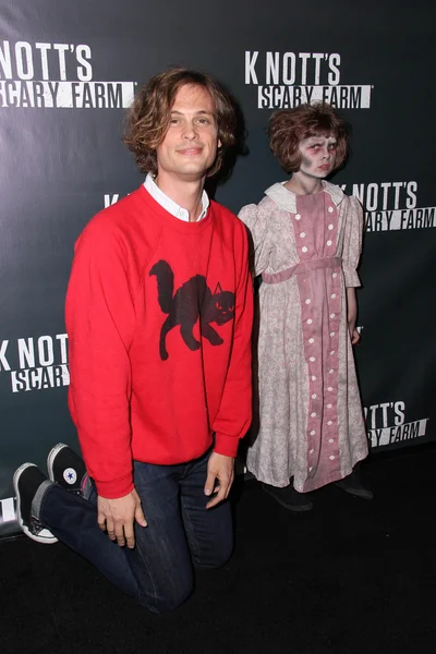 Matthew Gray Gubler — Stock Photo, Image