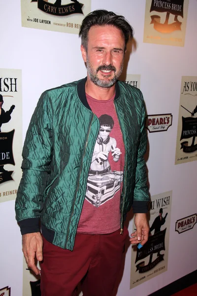 David Arquette — Zdjęcie stockowe