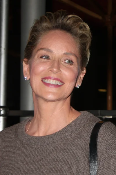 Sharon Stone — Stock Photo, Image