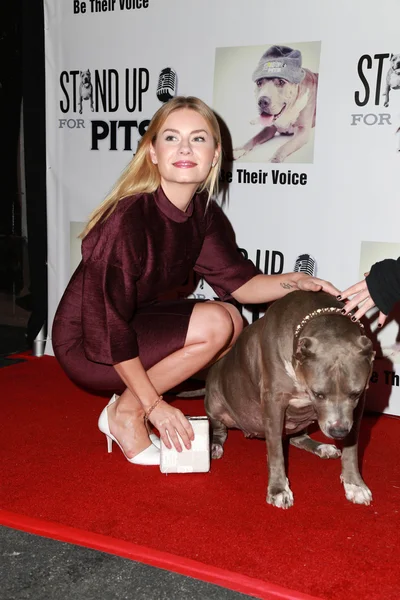 Elisha Cuthbert — Stock Photo, Image