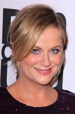 Amy Poehler