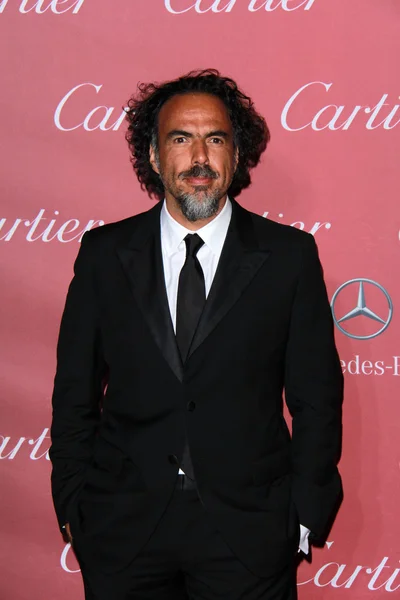 Alejandro González Iñárritu — Stock fotografie