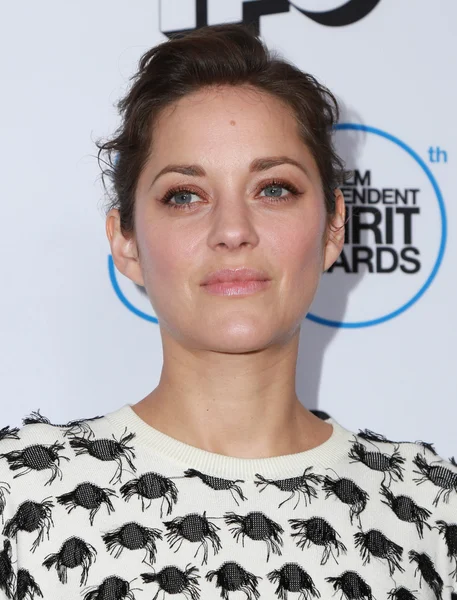 Marion Cotillard — Stock Photo, Image