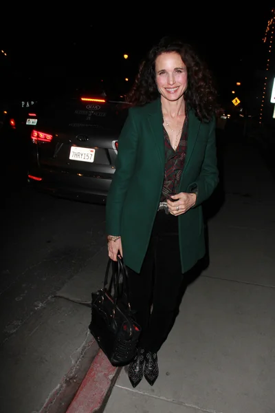 Andie Macdowell — Stock fotografie