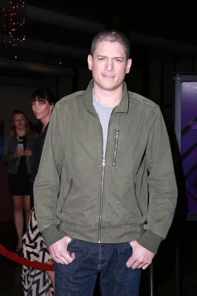 Wentworth Miller — Stok fotoğraf