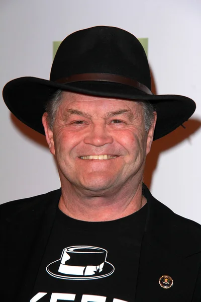 Micky Dolenz — Stock Photo, Image