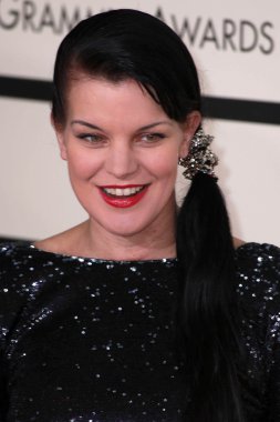 Pauley Perrette