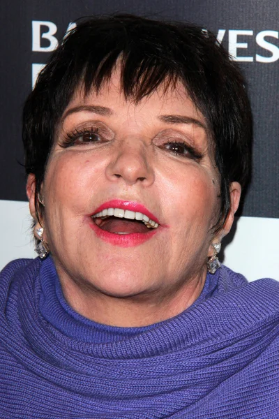 Liza Minelli — Fotografia de Stock