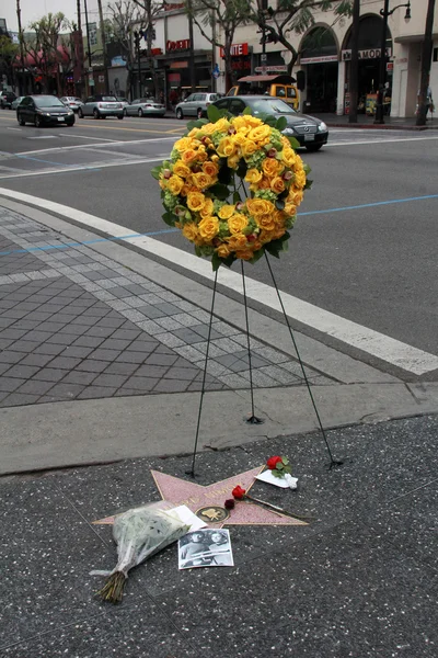 Blumen auf Leonard Nimoys Stern auf dem Hollywood Walk of Fame — Stockfoto