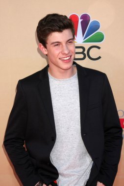 Shawn Mendes