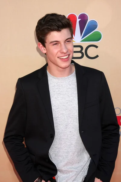 Shawn Mendes — Stockfoto