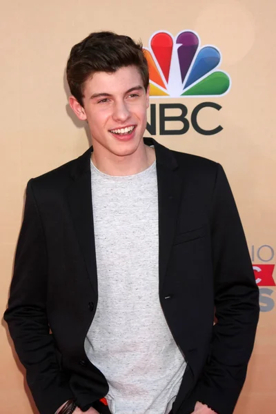 Shawn Mendes — Stockfoto