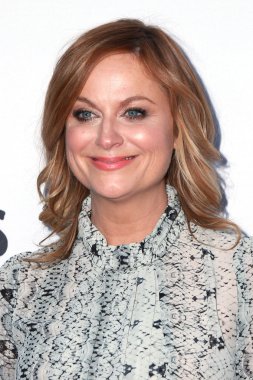 Amy Poehler
