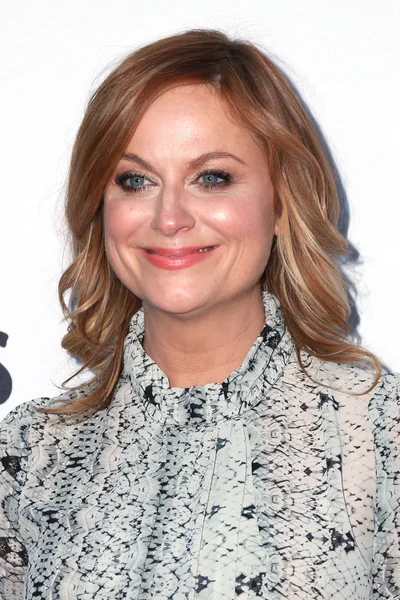 Amy Poehler — Zdjęcie stockowe