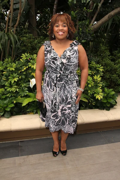 Chandra Wilson - actress Royalty Free Stock Images