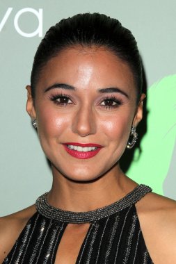 Emmanuelle Chriqui