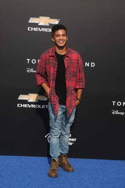 Jordan Fisher in de Tomorrowland" — Stockfoto