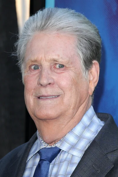 Brian Wilson — Stock Photo, Image