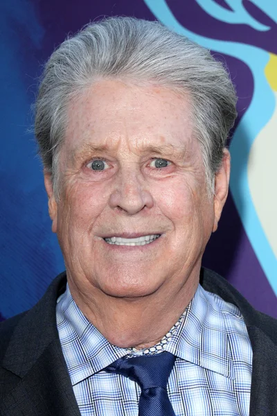 Brian Wilson. — Foto Stock