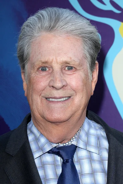 Brian Wilson — Stock Photo, Image