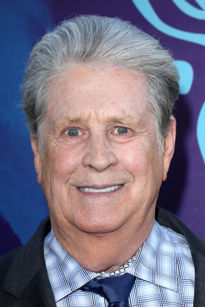 Brian Wilson — Stock Photo, Image