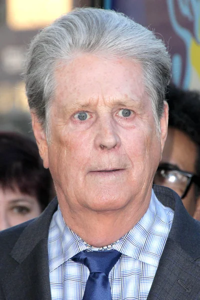 Brian wilson — Stockfoto