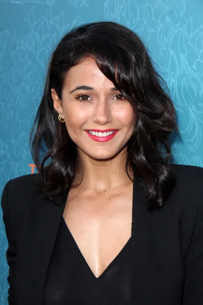 Emmanuelle Chriqui —  Fotos de Stock