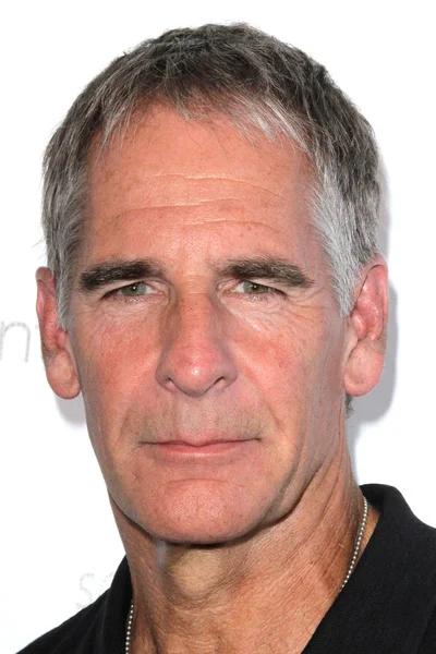 Scott Bakula - aktor — Stok Foto