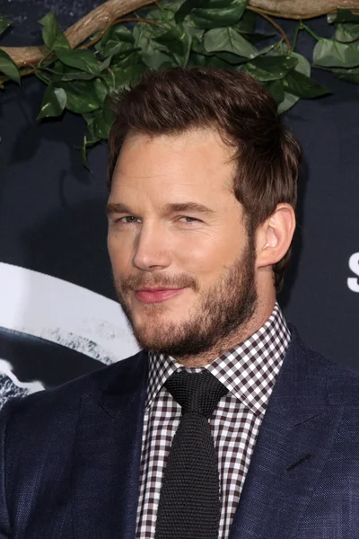 Chris Pratt — Stock Photo, Image