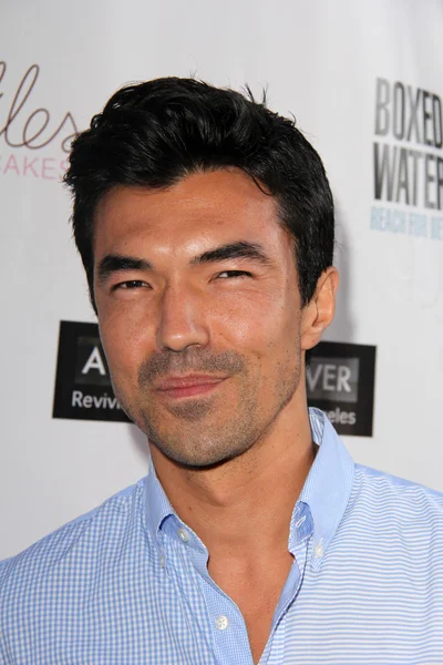 Ian Anthony Dale v betonové řece" — Stock fotografie