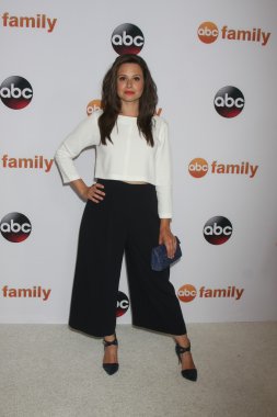 Katie Lowes at the ABC