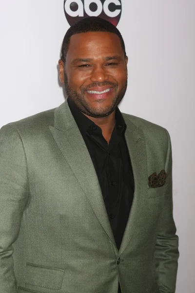 Anthony Anderson at the ABC — Stock Photo, Image