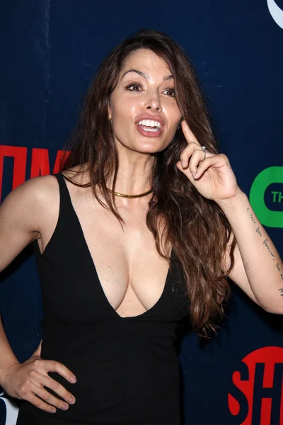 Sarah Shahi Sexy