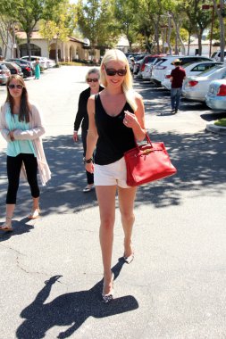 Katherine Heigl, 