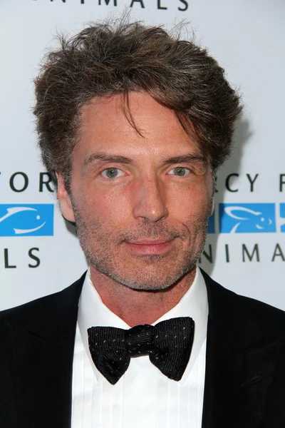 Richard Marx - actor — Foto de Stock