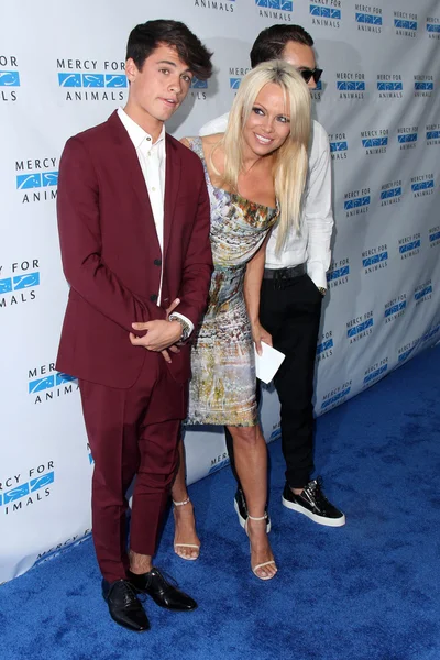 Pamela Anderson, Dylan Jagger Lee, Brandon — Foto Stock