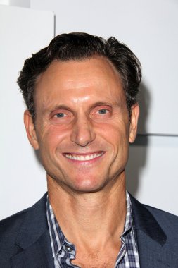 Tony Goldwyn at Audi Celebrates Emmys Week 2015
